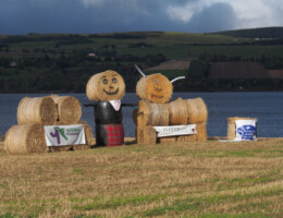 Hay Bales
