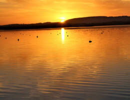 Balmaha Loch Lomond