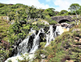Waterfall